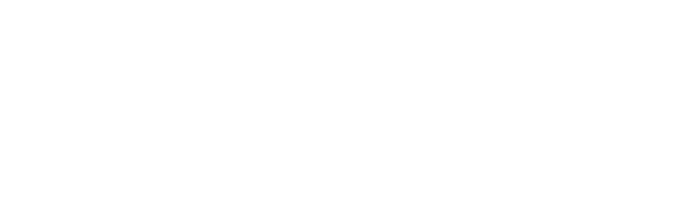 Алтайский государственный технический университет им. И.И. Ползунова (АлтГТУ)